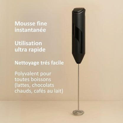 FOUET ÉLECTRIQUE POUR MATCHA