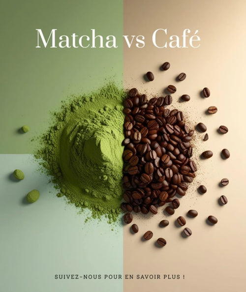 files/the-matcha-bio-japonais-panda-matcha-instagram-matcha-vs-cafe.jpg